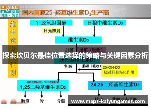 探索坎贝尔最佳位置选择的策略与关键因素分析